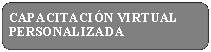 Rect�ngulo: esquinas redondeadas: CAPACITACI�N VIRTUAL PERSONALIZADA