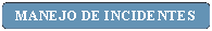 Rect�ngulo: esquinas redondeadas: MANEJO DE INCIDENTES